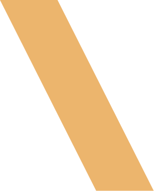 Logo Overlay